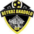Beykoz Anadoluspor crest