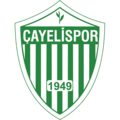 Çayelispor crest